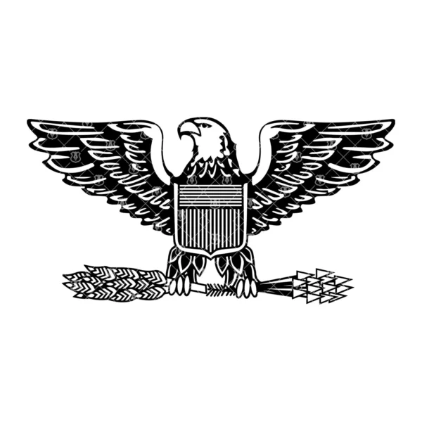 Colonel Eagle Insignia Air Force Marines Army - Image 2