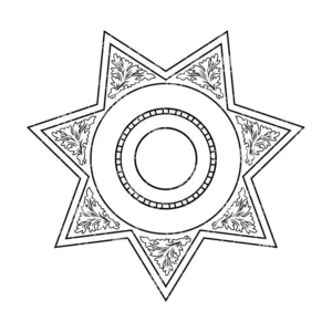 7 Point Star Badge V11