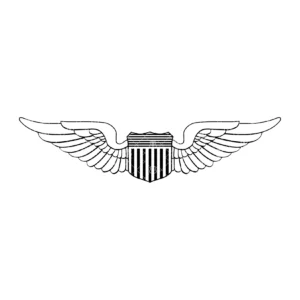 Airforce Pilot Wings.webp