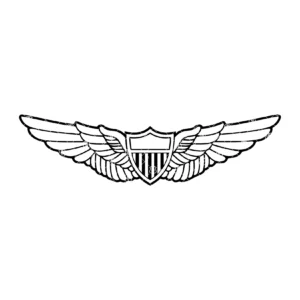 Army Aviator Wings.webp