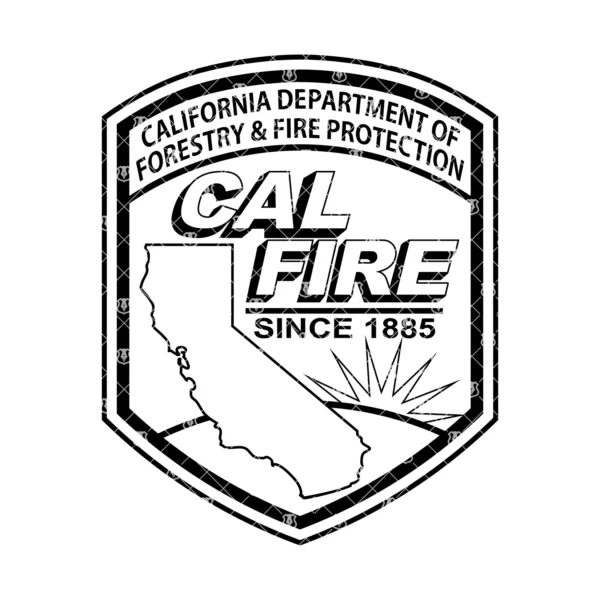 CAL FIRE Forestry and Fire Patch - Image 2