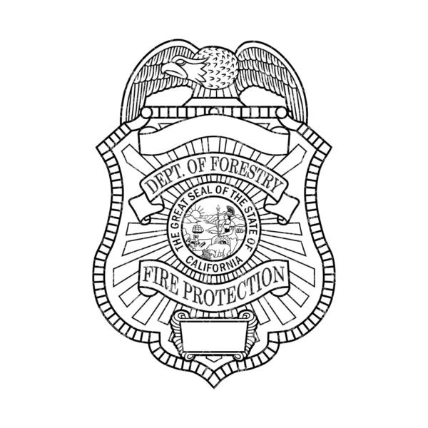 California Forestry Department Fire Protection Badge - Image 2