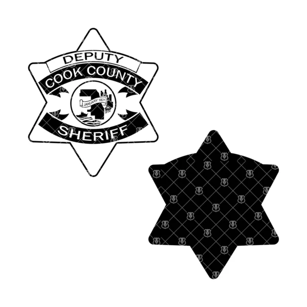 Cook Illinois Sheriff Deputy Badge - Image 3