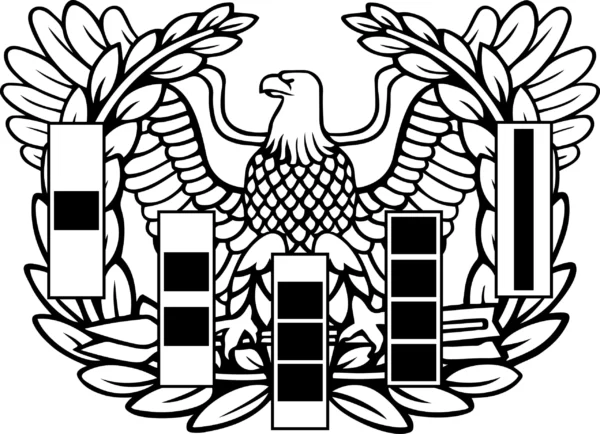 Warrant Officer Eagle Rising Insignia Bundle - Image 5