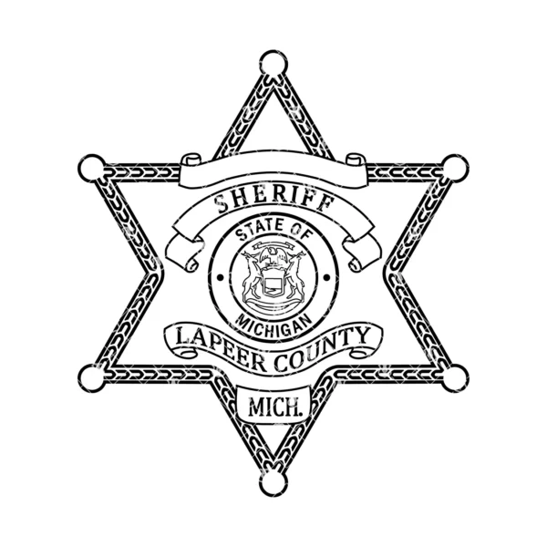 Lapper County Michigan Sheriff Star Badge - Image 2