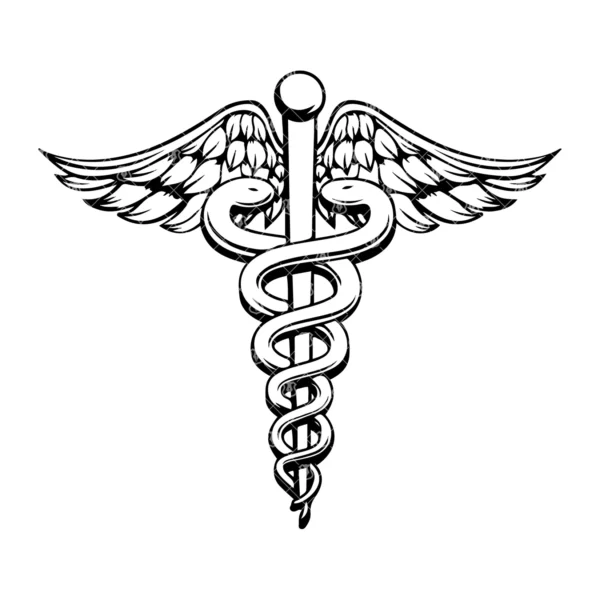 Nurse Caduceus EMS Emblem - Image 2