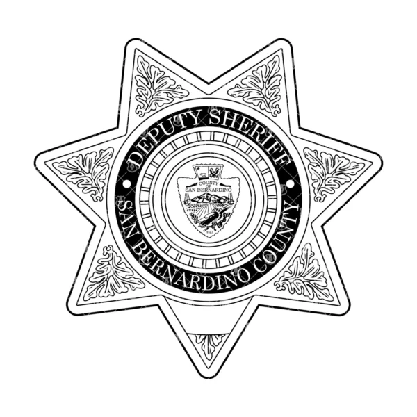 San Bernardino California Deputy Sheriff Badge - Image 2