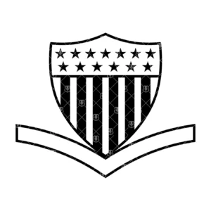 Uscg E4 Insignia