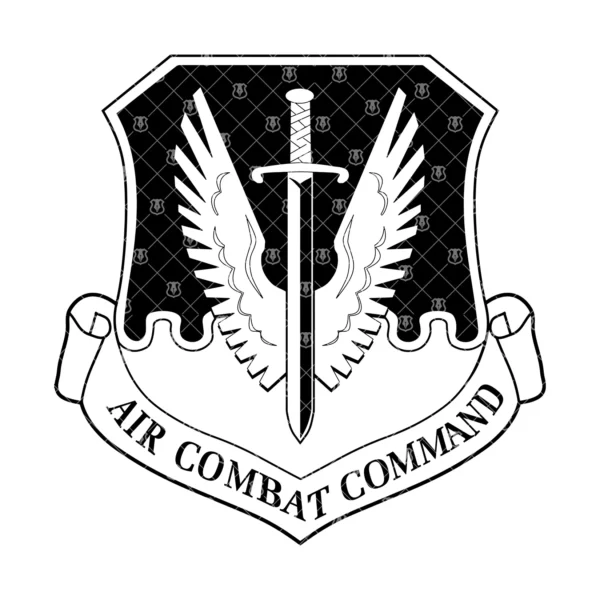 Air Force Air Combat Command Insignia - Image 2