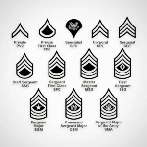 US Army Enlisted Rank Insignia SVG Bundle - Image 3